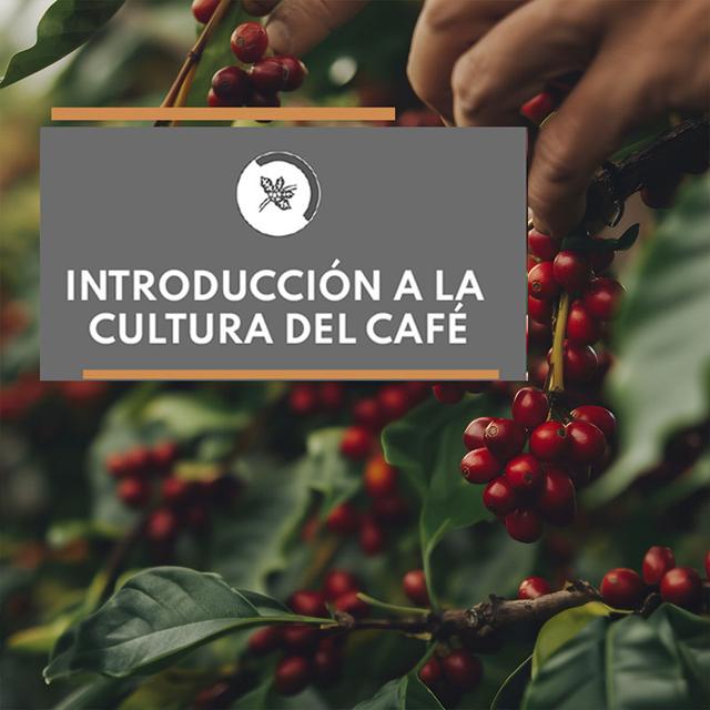 Introducción a la Cultura del Café imagen