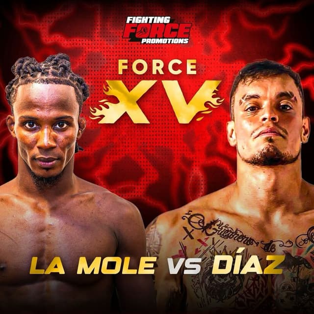 Fighting Force 15 imagen