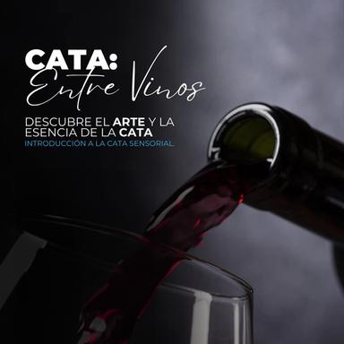 Cata Entre Vinos imagen