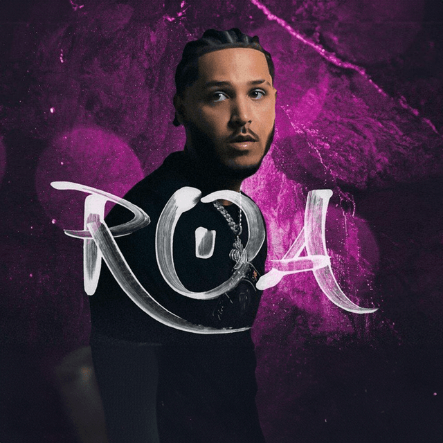 ROA imagen