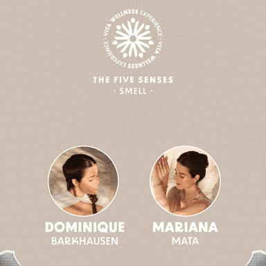 VITA WELLNESS EXPERIENCE imagen