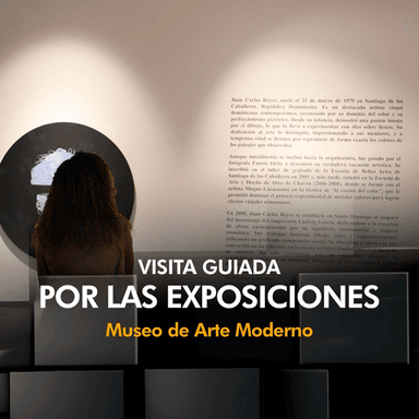 Visita Guiada - Museo de Arte Moderno imagen