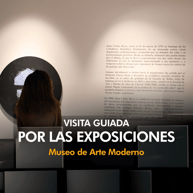 Visita Guiada - Museo de Arte Moderno imagen