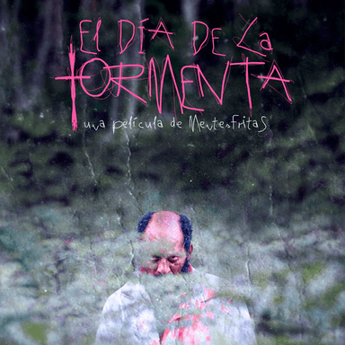 El Día De La Tormenta imagen
