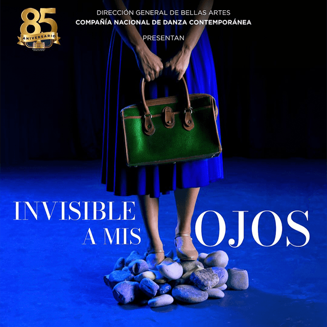 Invisible a mis ojos imagen