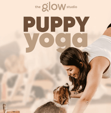 Puppy Yoga imagen