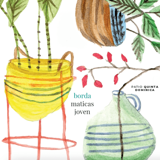Borda Maticas Joven imagen