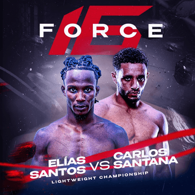 Fighting Force 16 imagen